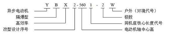 西安泰富西瑪YB2系列高壓防爆電機(jī)型號說明