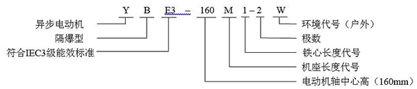 西安泰富西瑪YBE3系列超高效防爆電機(jī)型號(hào)說明